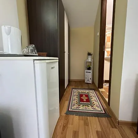 Penzion Casa Cu Flori