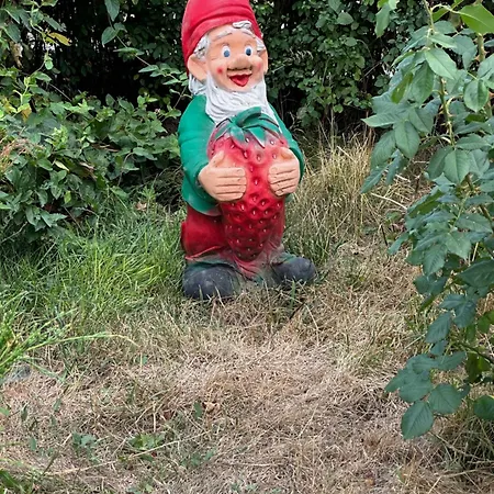 Casa Cu Flori Penzion 3*