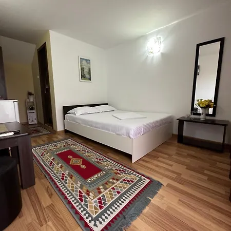 Penzion Casa Cu Flori