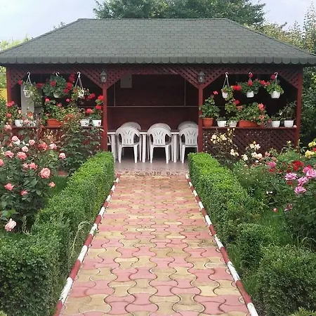 Casa Cu Flori 3*
