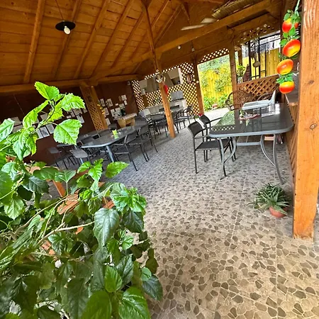 Casa Cu Flori 3* Corbu (Constanta)