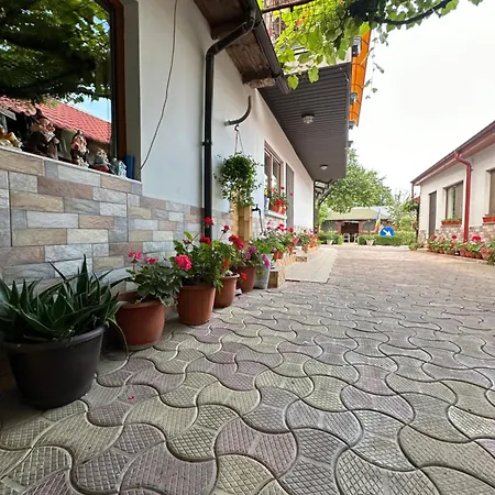 Penzion Casa Cu Flori 3*