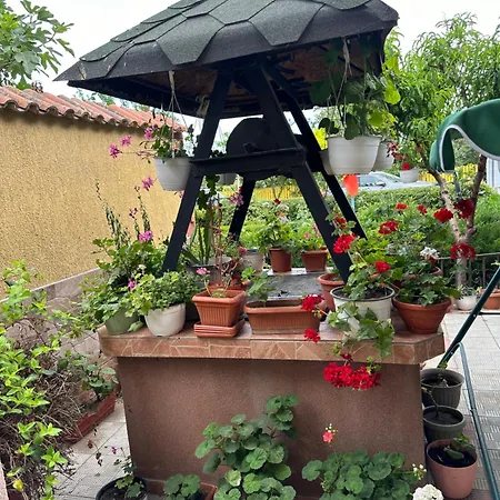 Penzion Casa Cu Flori