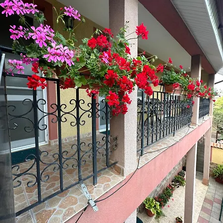 Penzion Casa Cu Flori 3*